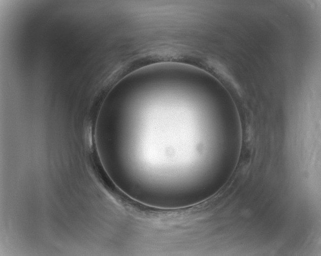 X0000066000021200603061335