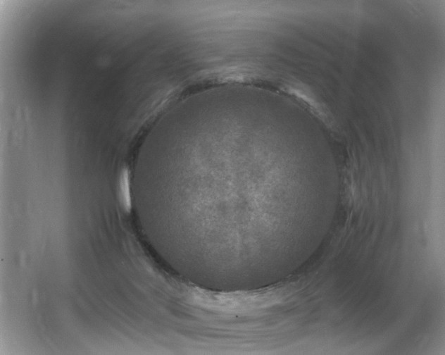 X0000066000022200603061335