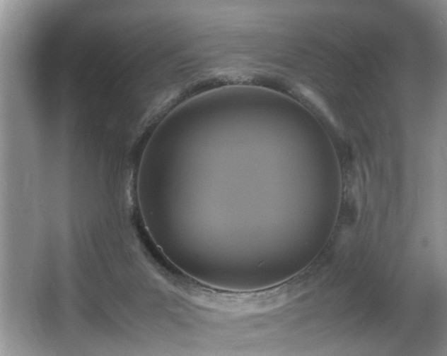 X0000066000023200603061335