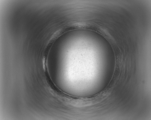 X0000066000024200603061335