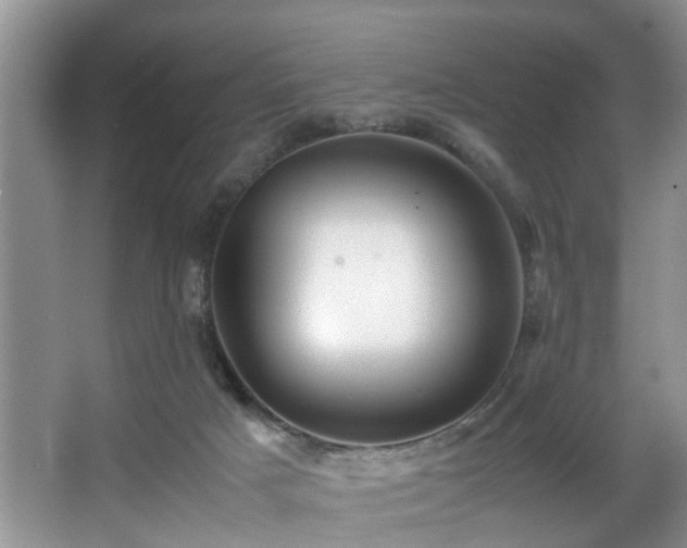 X0000066000025200603061335