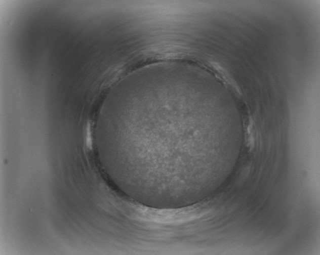 X0000066000026200603061335