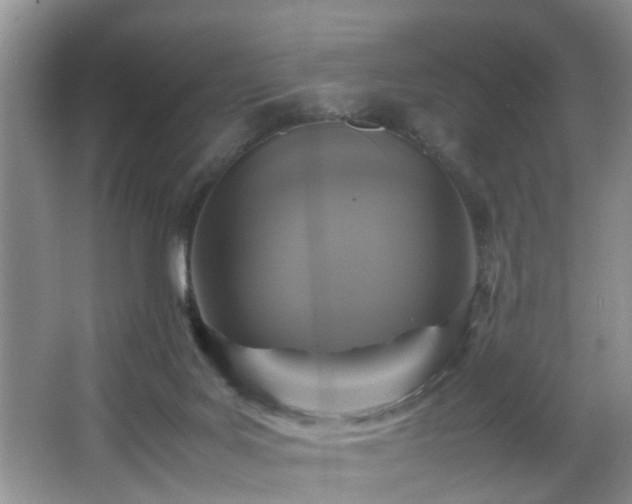 X0000066000027200603061335