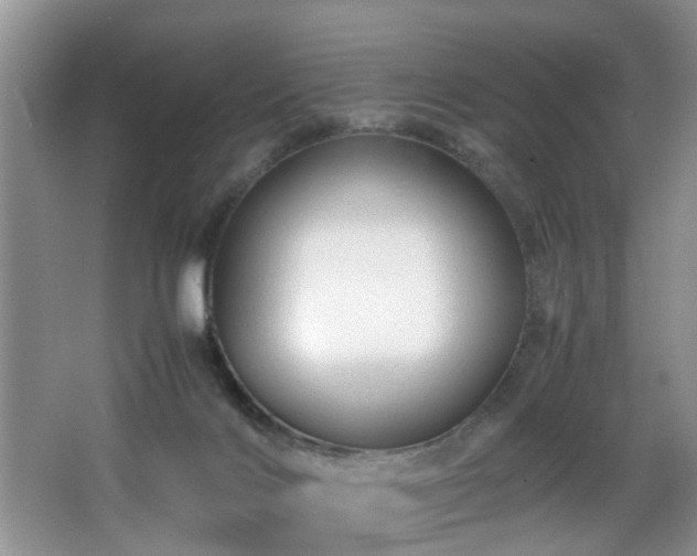 X0000066000028200603061335