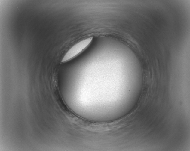 X0000066000029200603061335