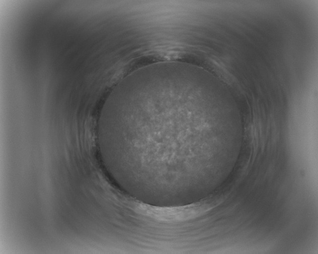 X0000066000030200603061335