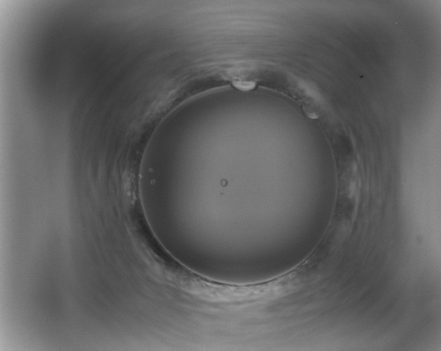 X0000066000031200603061335