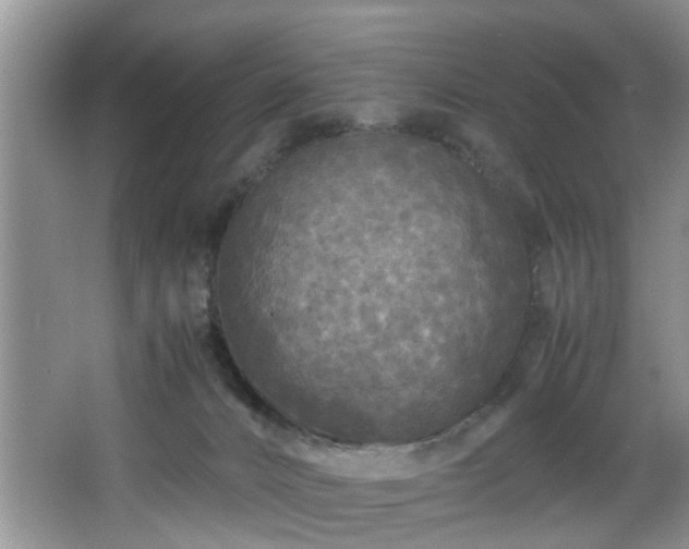 X0000066000032200603061335