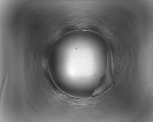 X0000066000033200603061335