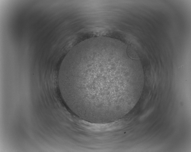 X0000066000034200603061335