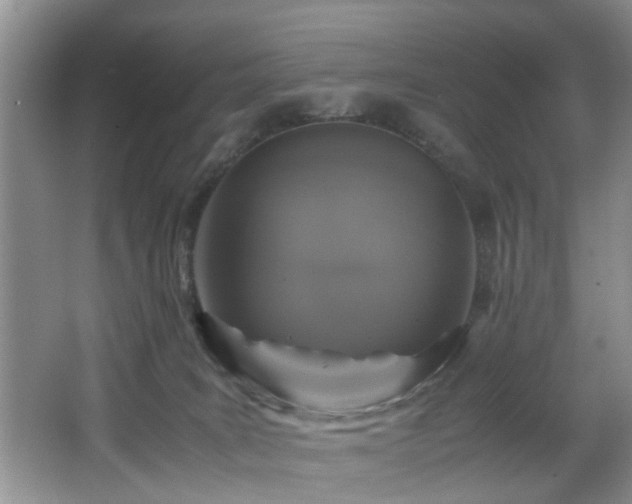 X0000066000035200603061335