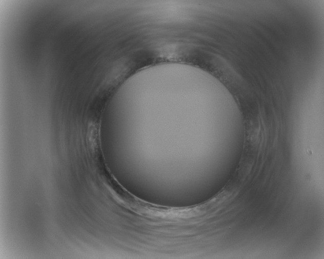 X0000066000036200603061335