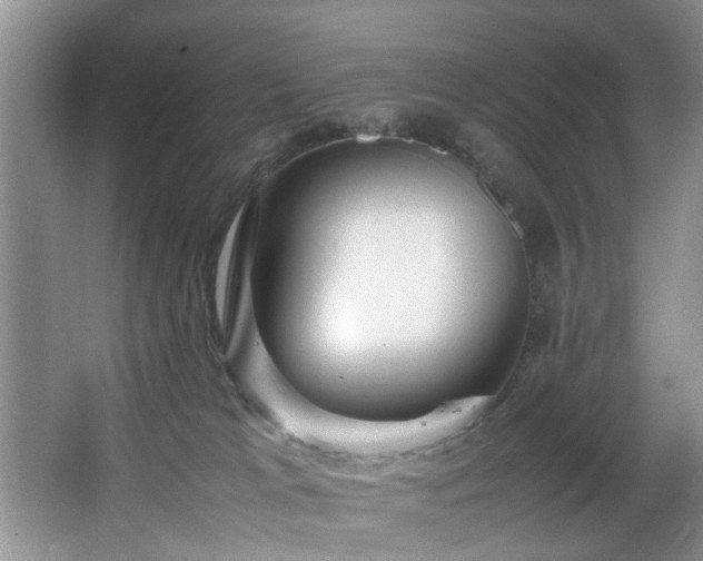 X0000066000037200603061335