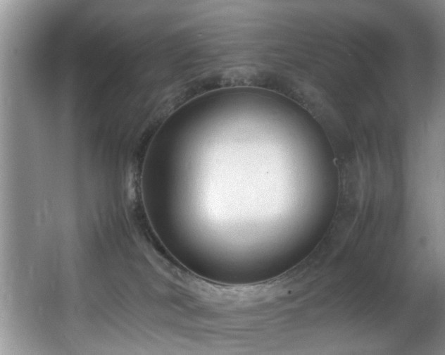 X0000066000038200603061335