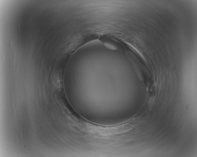 X0000066000039200603061335