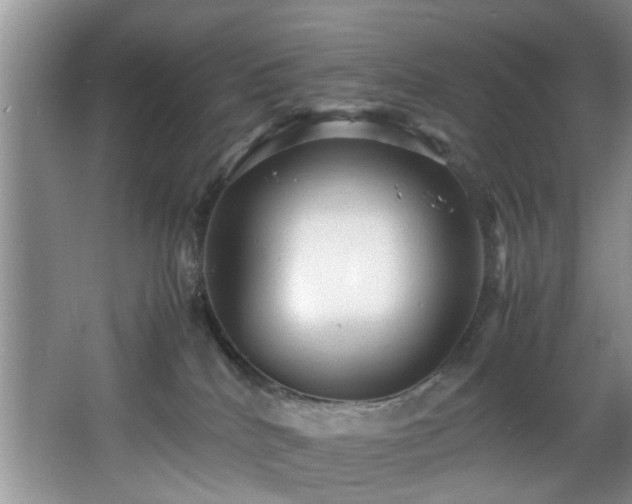 X0000066000040200603061335