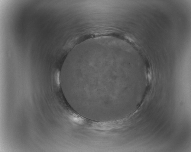 X0000066000041200603061335