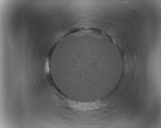 X0000066000042200603061335