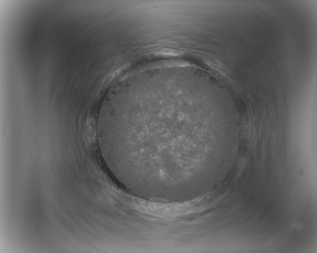 X0000066000043200603061335