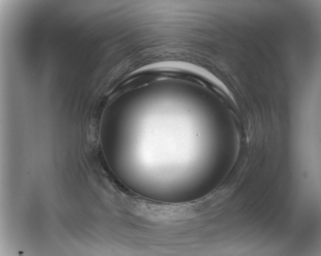 X0000066000044200603061335