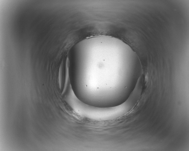 X0000066000045200603061335