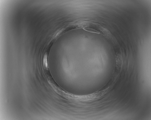 X0000066000046200603061335