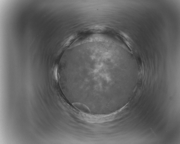 X0000066000047200603061335