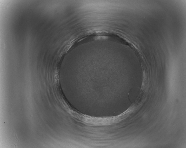 X0000066000048200603061335