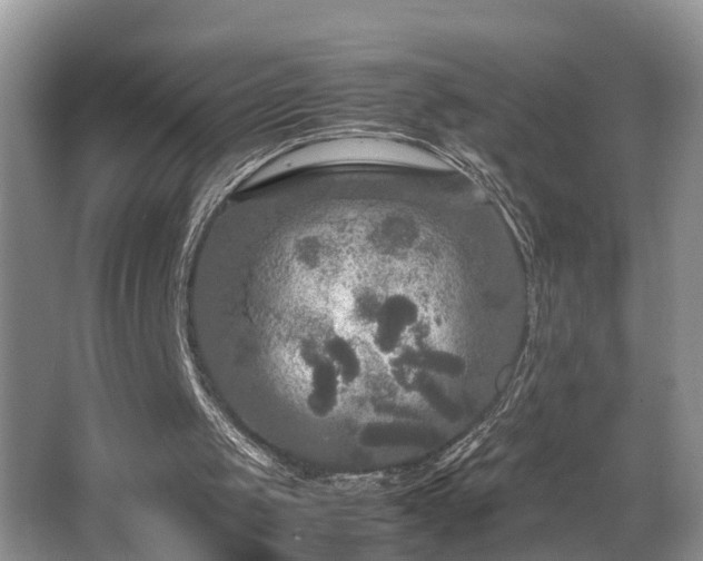 X0000066000049200603061334