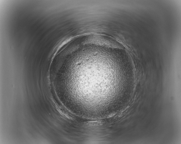 X0000066000050200603061334