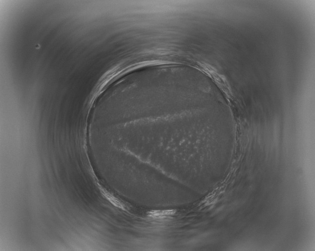 X0000066000051200603061334