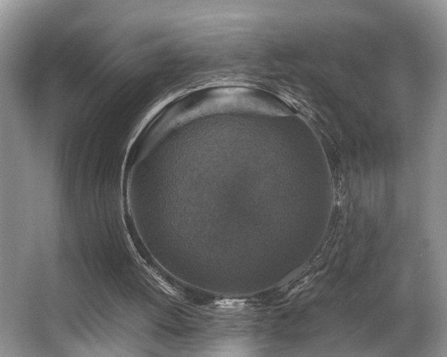 X0000066000052200603061334