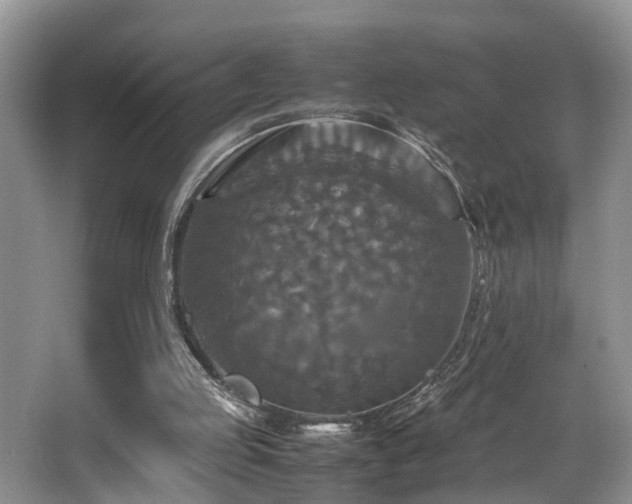 X0000066000053200603061334