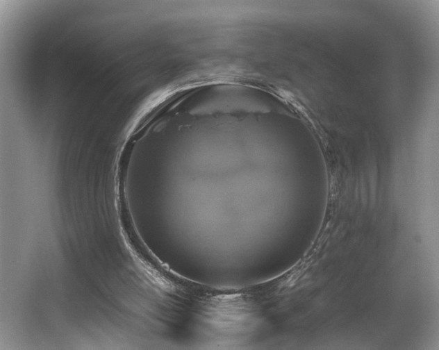 X0000066000054200603061334