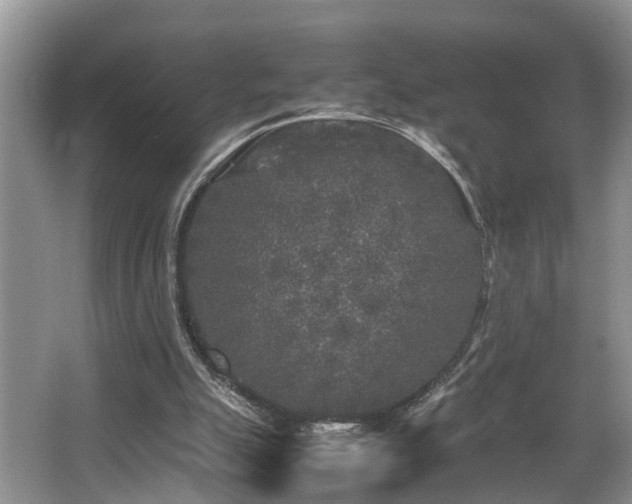 X0000066000055200603061334