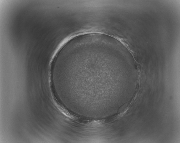 X0000066000056200603061334