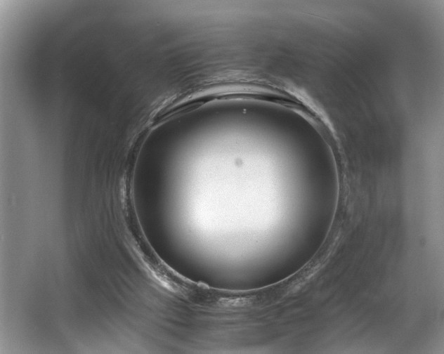 X0000066000057200603061334