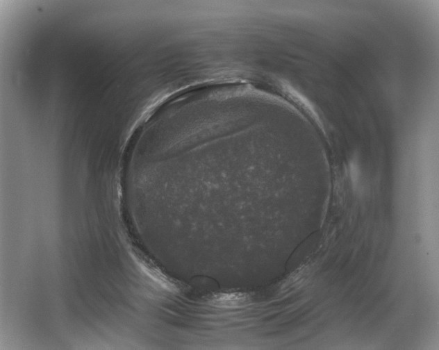 X0000066000059200603061334