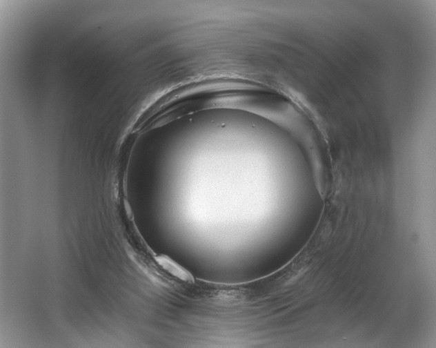 X0000066000060200603061334