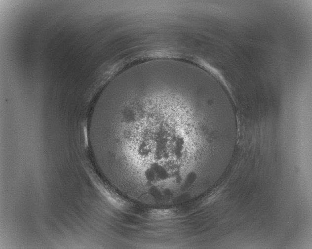 X0000066000061200603061334