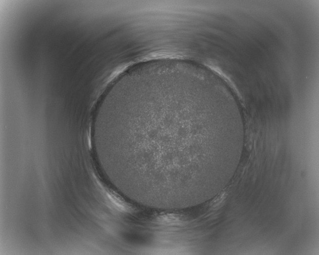 X0000066000062200603061334