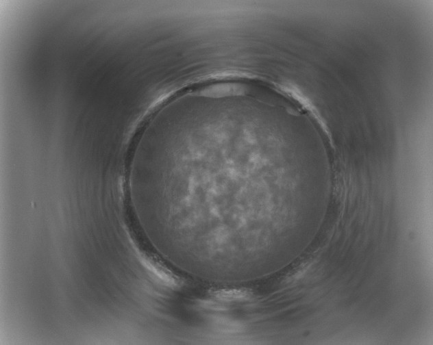 X0000066000063200603061334