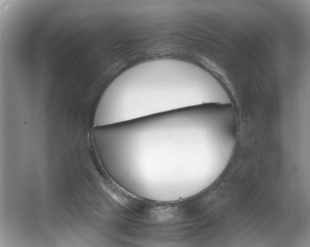 X0000066000065200603061334