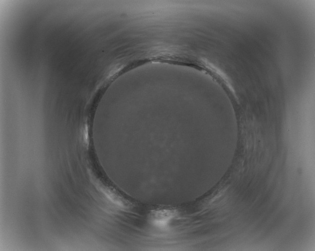 X0000066000067200603061334