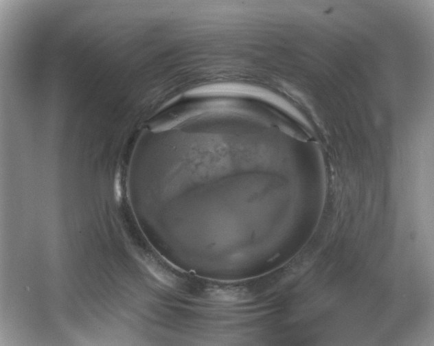 X0000066000069200603061334