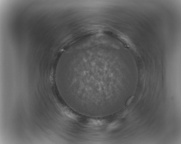 X0000066000073200603061334