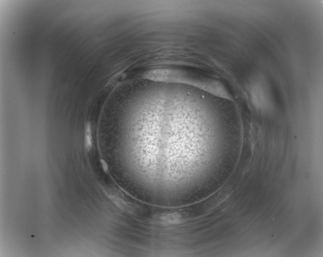 X0000066000075200603061334