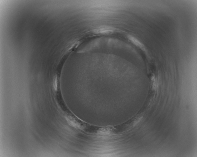 X0000066000076200603061334