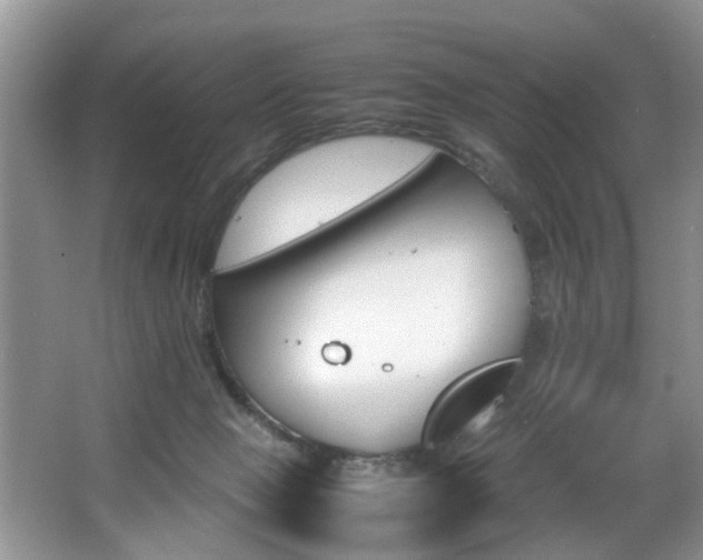 X0000066000077200603061334