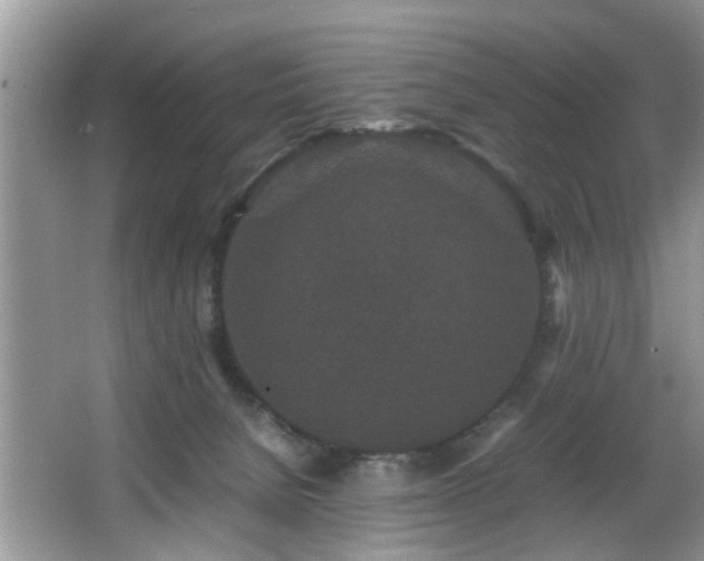 X0000066000080200603061334